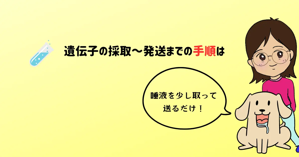 遺伝子の採取～発送までの手順は